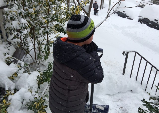 dvorak__741453738451