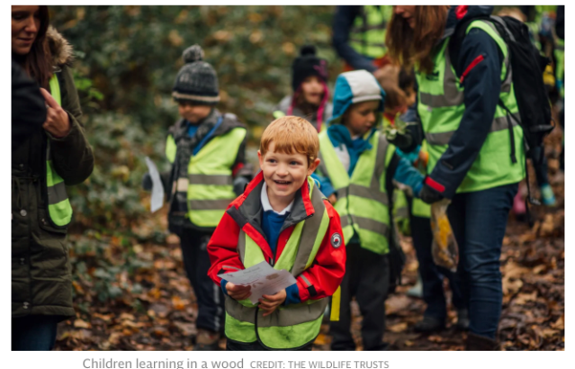 Screen Shot 2019-11-16 at 4.10.59 PM.png